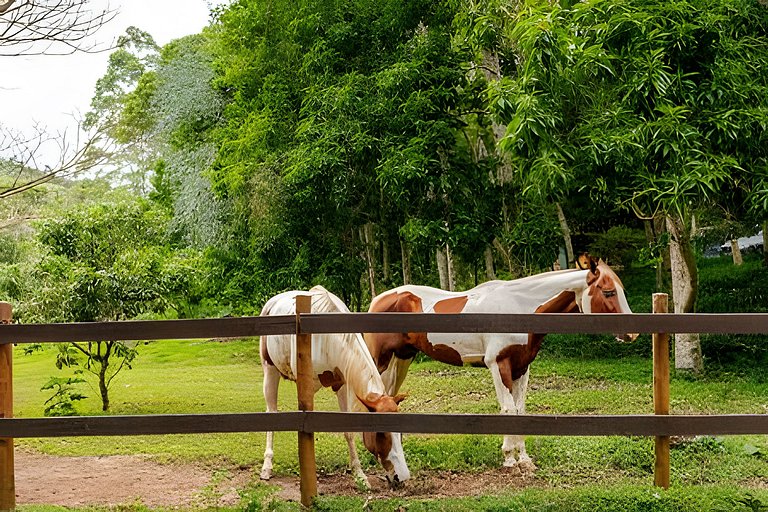 Secreto Fazenda c/ piscina, ofurô, sauna e cavalos @secretob