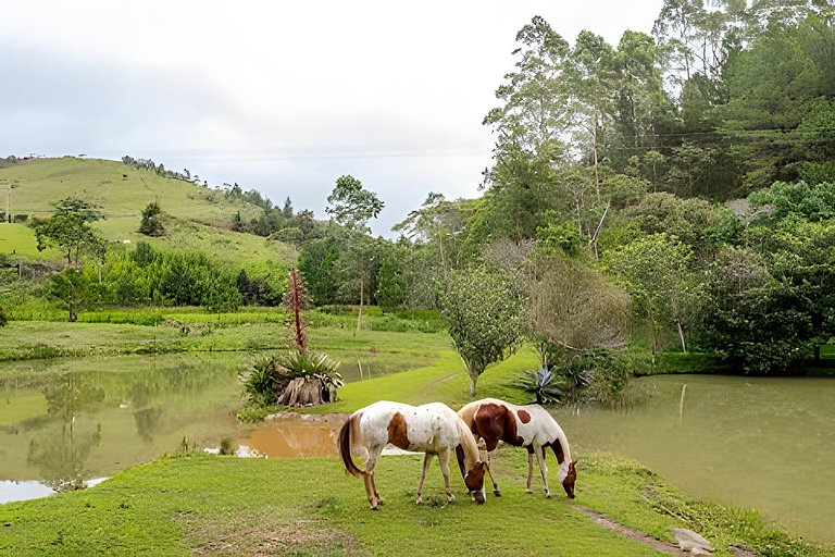 Secreto Fazenda c/ piscina, ofurô, sauna e cavalos @secretob