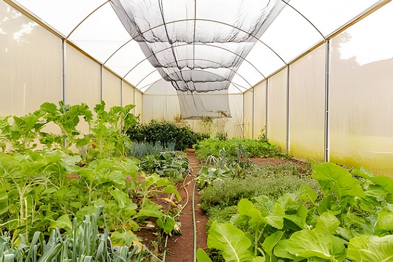 Secreto Fazenda | Piscina, ofurô e sauna @secretobangalos