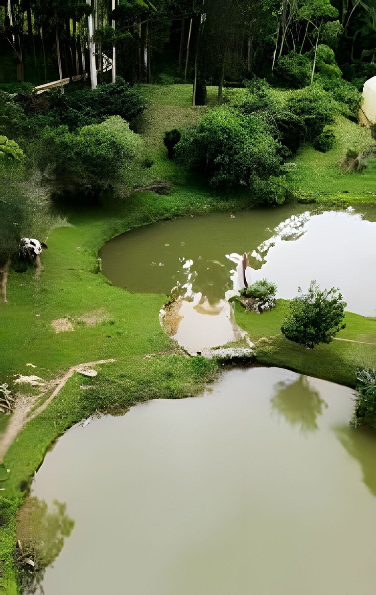 Secreto Fazenda c/ piscina, ofurô, sauna e cavalos @secretob