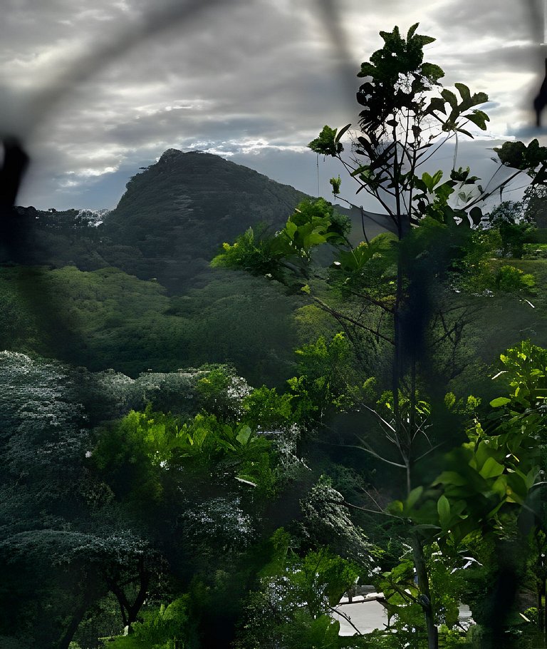 Horto | Vista para a floresta da Tijuca