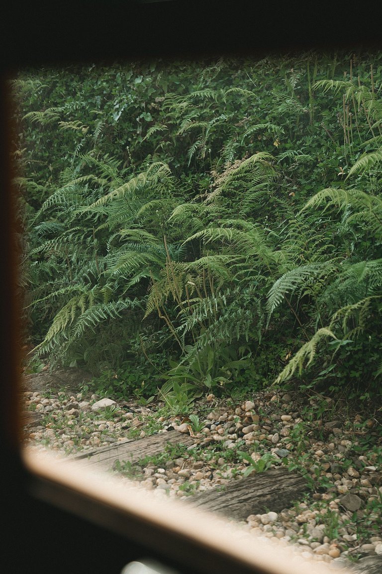 Casa Beira Rio | Piscina, churrasqueira e beach tennis.