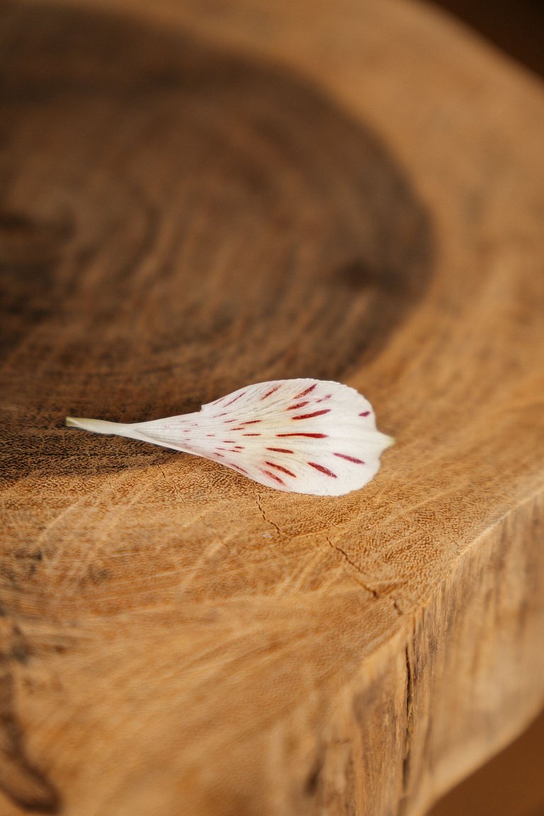 Casa Grega | Piscina, Jacuzzi e Vista Panorâmica