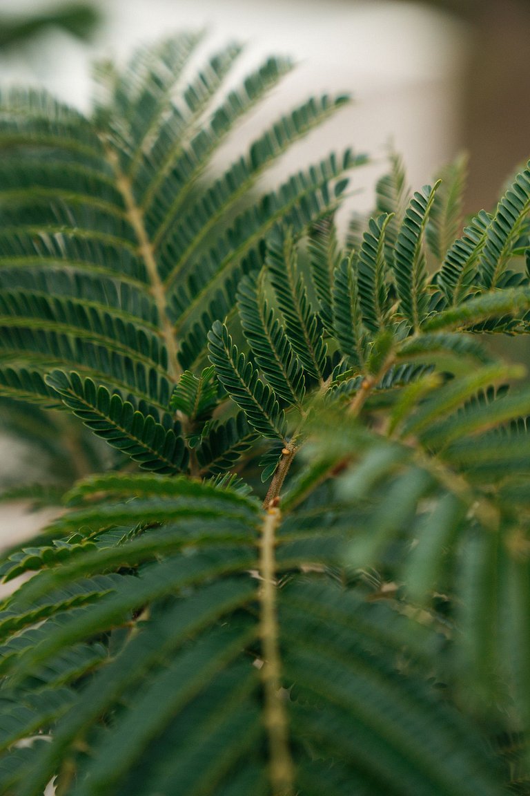 Casa Grega | Piscina, Jacuzzi e Vista Panorâmica
